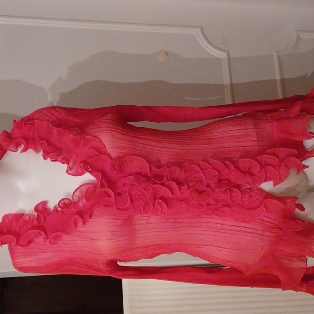 Moon River-Long Sleeve Pink sheer ruffle top-Sz (Sm) 100% Polyester
